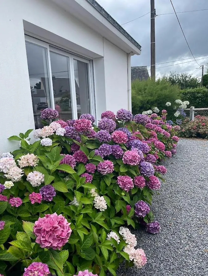 Trouz Ar Mor Damgan Villa Fransa
